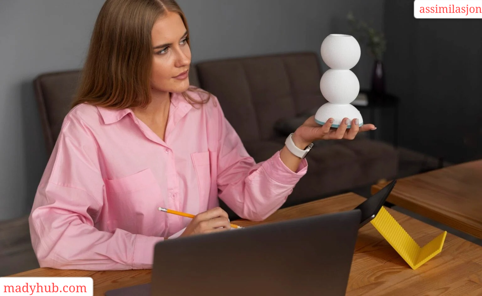 assimilasjon