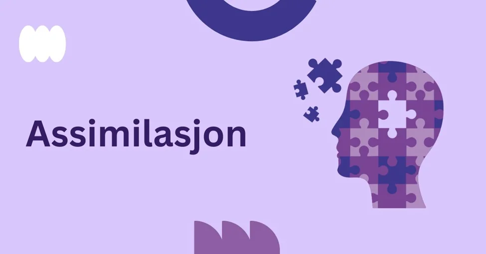 assimilasjon