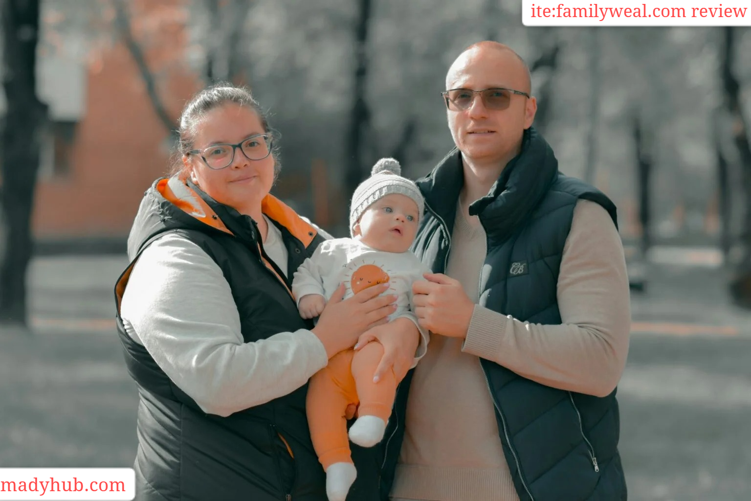 ite:familyweal.com review