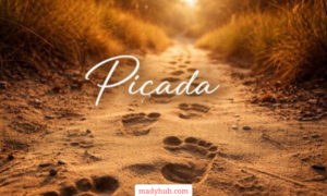 Piçada Meaning, Culture and Hidden Best 